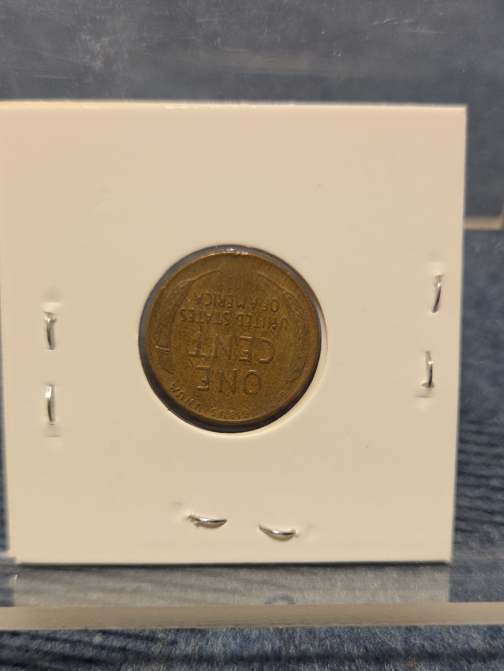 Vintage Wheat One Cent Display in White Card Holder